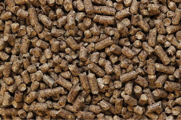 Pellets als Brennstoff für Biomasse-Heizungen